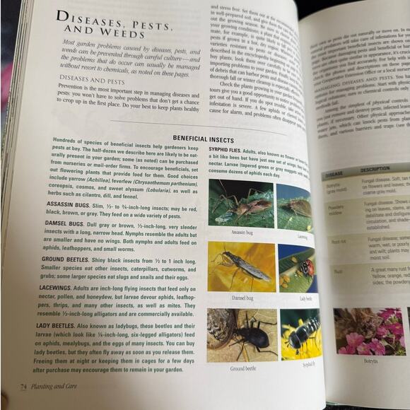 Sunset Annuals and Perennials | 2002 | Vintage Gardening Book - Picture 5 of 10